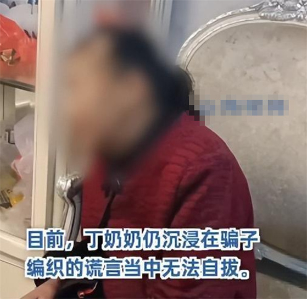 68岁奶奶刷视频陷入骗局欲与假靳东谈恋爱