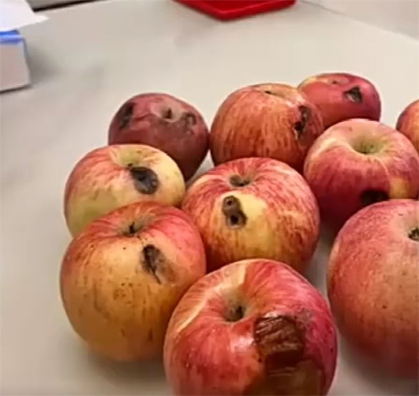 男子花20元买下小贩的6斤苹果却发现只有3个好的
