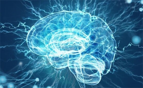 新冠病毒导致大脑细胞融合 损害神经元和大脑功能真的吗
